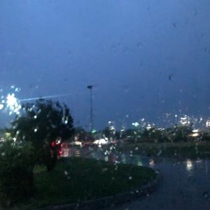 Meet your Posher, Luz